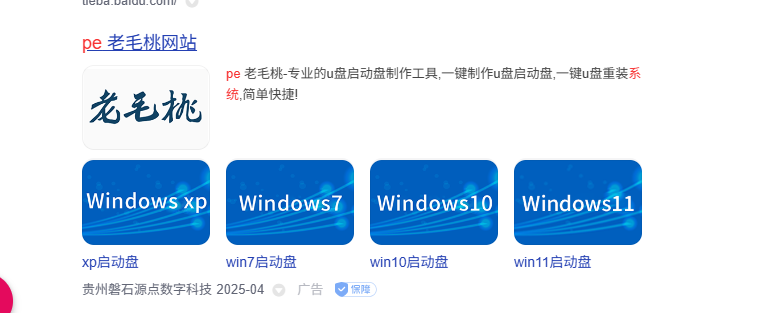 image-20250426004216386