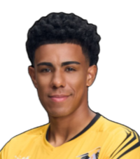 Otavio Neto